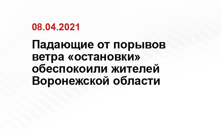 ВКонтакте/Сергей Нагибин
