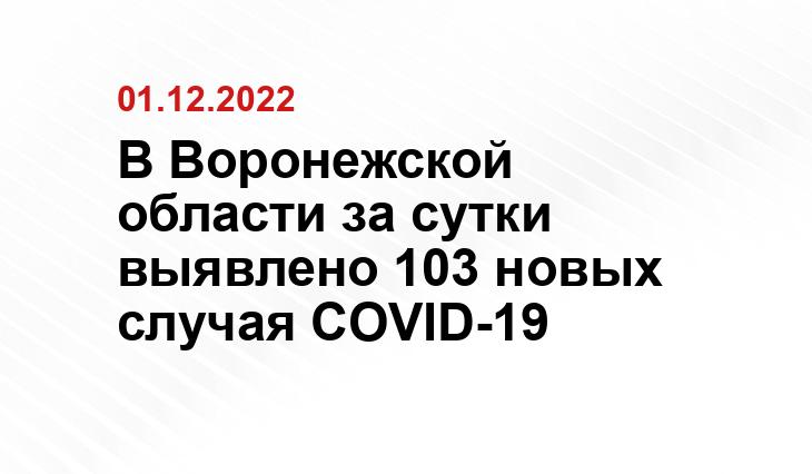 dmvv.ru