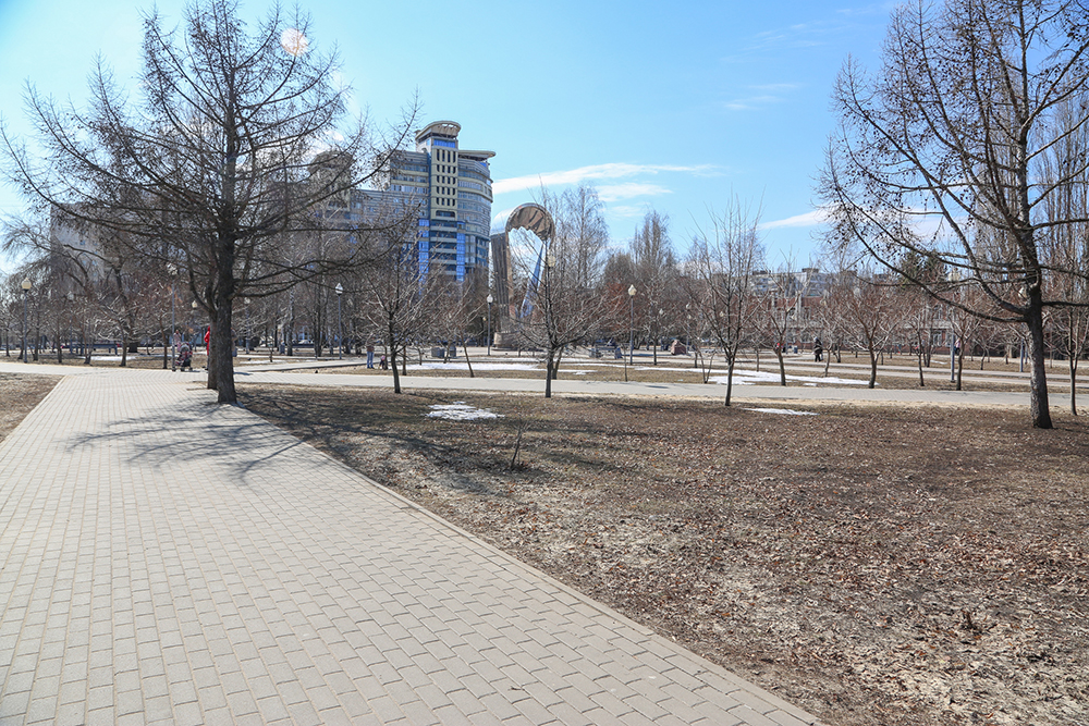 Воронежцам предлагается проголосовать за территорию для благоустройства Мэрия Воронежа