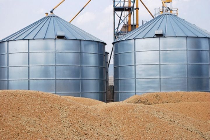 Воронежская область стала лидером по производству органической пищевой продукции в стране latifundist.ru