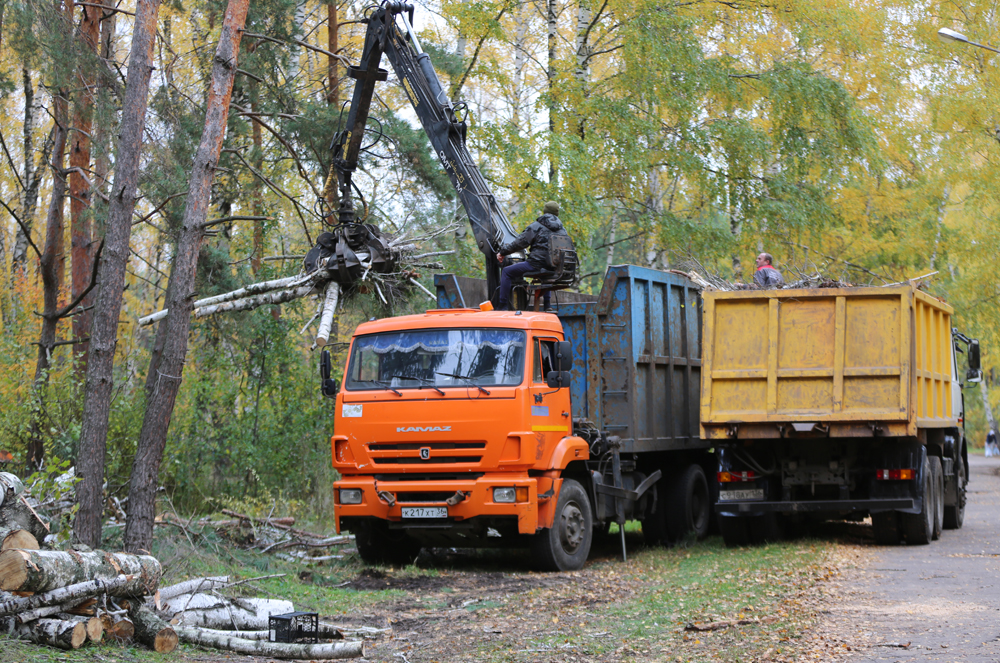 Мэр Воронежа и сотрудники администрации приняли участие в общегородском субботнике