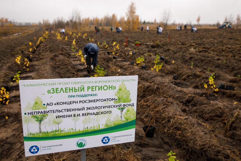 Нововоронежская АЭС стала участником губернаторского климатического проекта «Зелёный регион» НВАЭС/Ольга Мартынова.