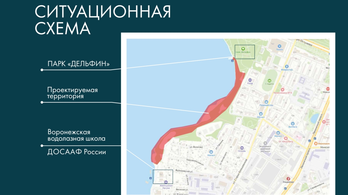 Мэр Воронежа рассказал о проекте развития прилегающей к парку «Дельфин» территории