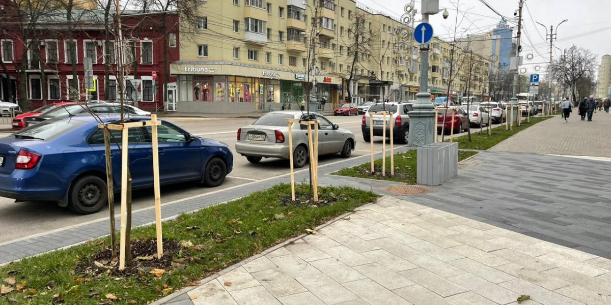 Продолжаются работы по озеленению Воронежа ТГ/Экологи Воронежа