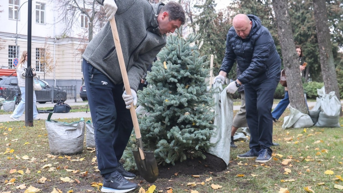 Мэр Воронежа Сергей Петрин принял участие в высадке деревьев в сквере Никитина ТГ/Сергей Петрин