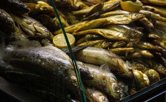 Рулетики из лаваша с селедкой: что приготовить на Новый 2026 год — аппетитно и быстро Рулетики из лаваша с селедкой: что приготовить на Новый 2026 год — аппетитно и быстро