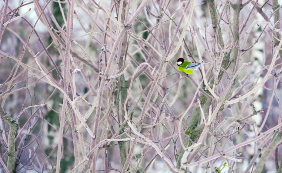 23 января — Григорий Летоуказатель: что можно и нельзя для удачи, приметы — традиция мясного стола 23 января — Григорий Летоуказатель: что можно и нельзя для удачи, приметы — традиция мясного стола