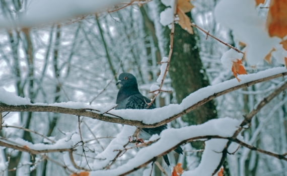Что можно и нельзя 23 января 2026: Лунный гороскоп разбивает планы на маникюр и новые старты Что можно и нельзя 23 января 2026: Лунный гороскоп разбивает планы на маникюр и новые старты