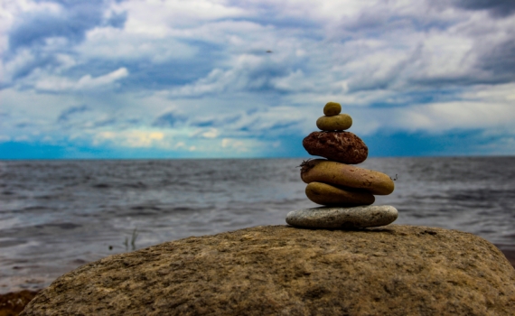 В Китае палеонтологи нашли недостающее звено эволюции человека: раскрыта тайна шишковидной железы В Китае палеонтологи нашли недостающее звено эволюции человека: раскрыта тайна шишковидной железы